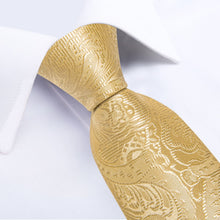 DiBanGu Dark Champagne Floral Silk Mens Tie Pocket Square Cufflinks Set