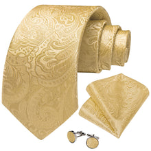 DiBanGu Dark Champagne Floral Silk Mens Tie Pocket Square Cufflinks Set