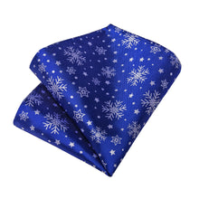 DiBanGu Christmas Blue White Snow Men's Silk Necktie Set