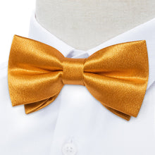 mens gold bow tie