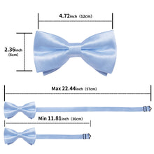 powder blue bow tie