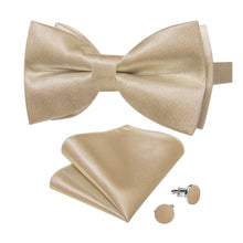 champagne bow tie and pocket square