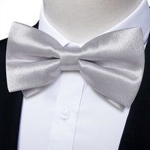 silver bow tie