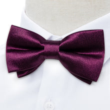 bow tie fashionable