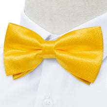 bow tie set