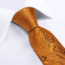 Luxury Golden Floral Men's Tie Handkerchief Cufflinks Clip Set